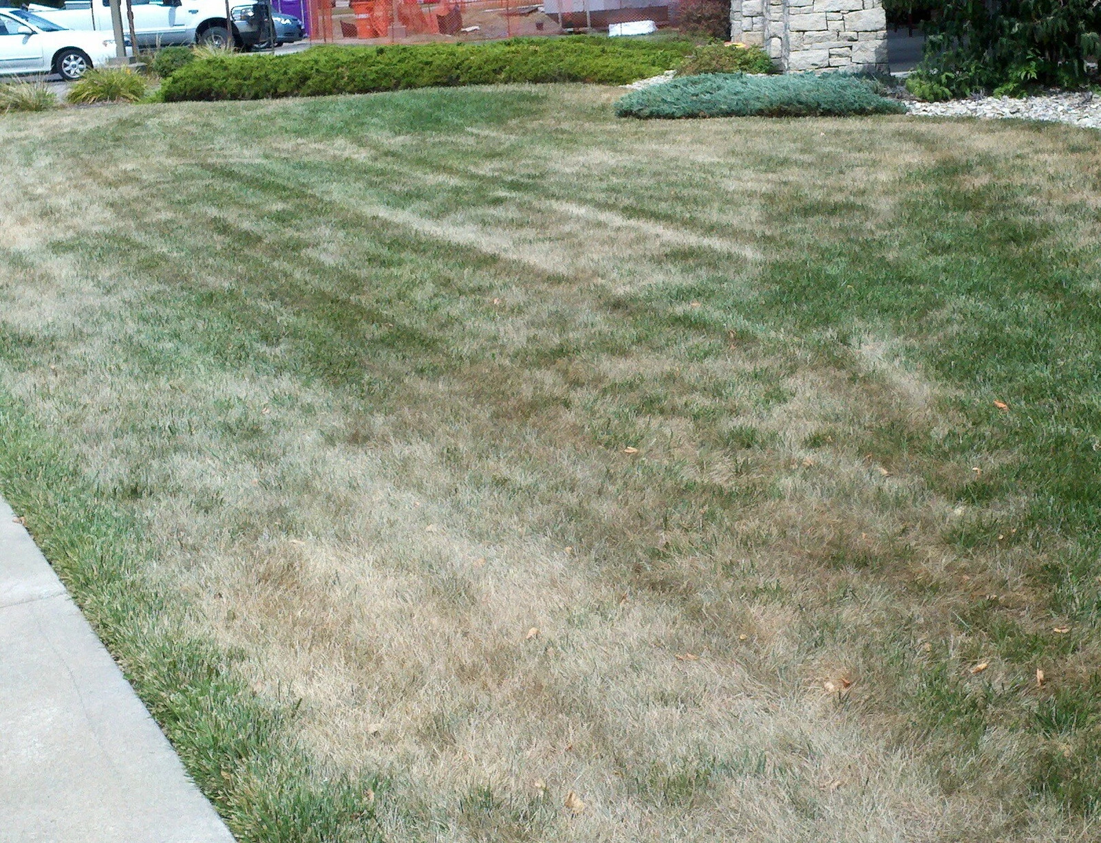 Drought lawn in lack of irrigation system