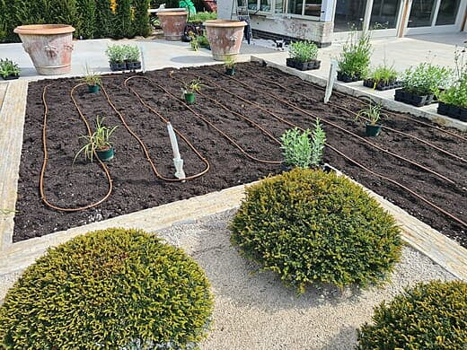 Dripline laid on topsoil before covered by mulch