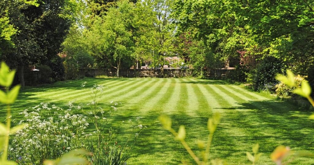 Lawn