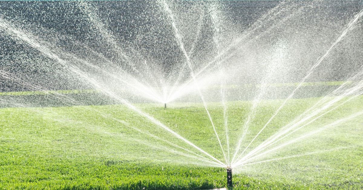 Automatic watering